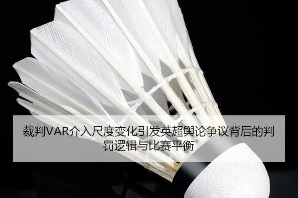 cai-pan-jie-ru-chi-du-bian-hua-yin-fa-ying-chao-yu-lun-zheng-yi-bei-hou-de-pan-fa-luo-ji-yu-bi-sai-ping-heng-2-429.jpg