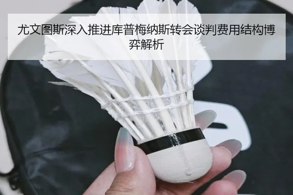 尤文图斯深入推进库普梅纳斯转会谈判费用结构博弈解析
